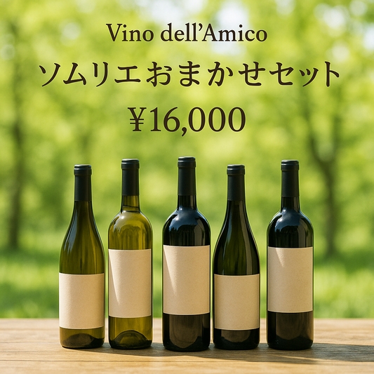 ソムリエ藤本が選ぶおまかせセット【送料無料】16,000円