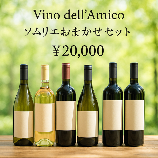 ソムリエ藤本が選ぶおまかせセット【送料無料】20,000円