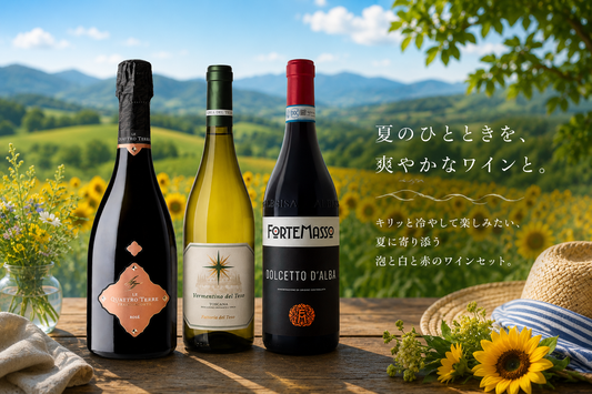 泡・白・赤で愉しむ 夏のイタリアワインセット（３本）【送料無料】