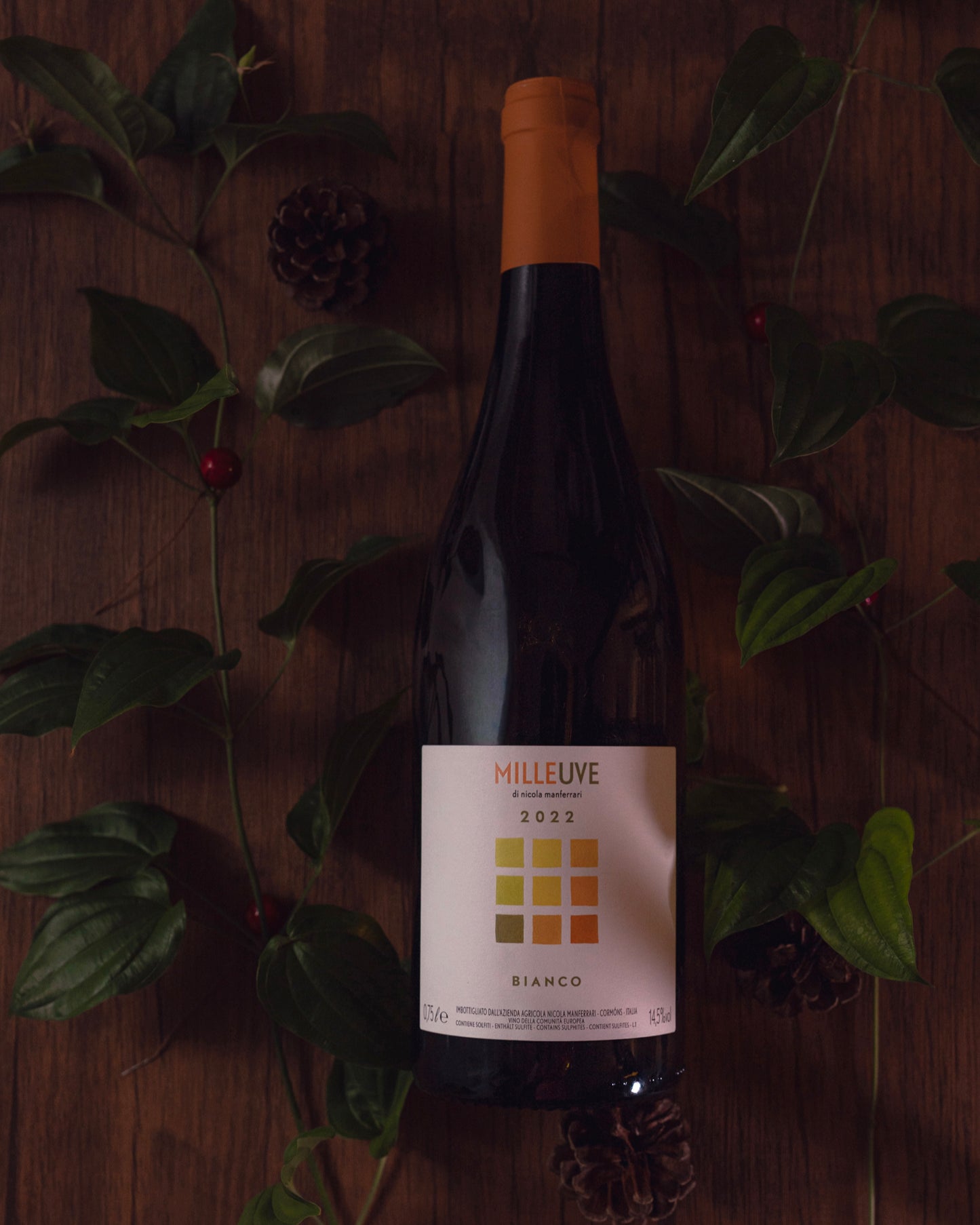 Nicola Manferrari Vino Bianco Milleuve 2022