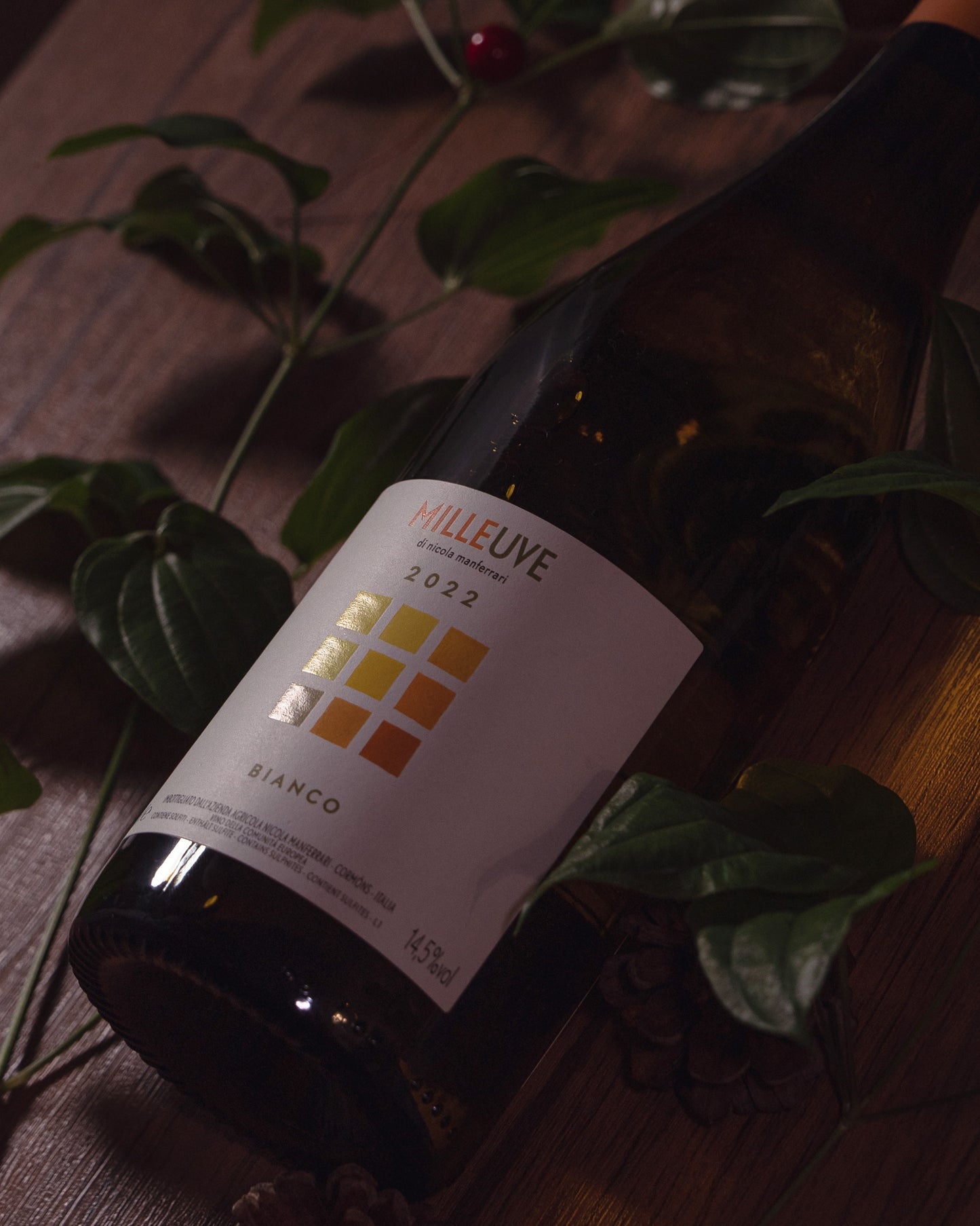 Nicola Manferrari Vino Bianco Milleuve 2022