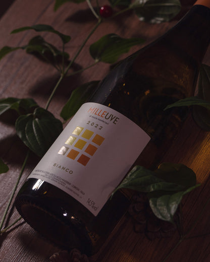 Nicola Manferrari Vino Bianco Milleuve 2022