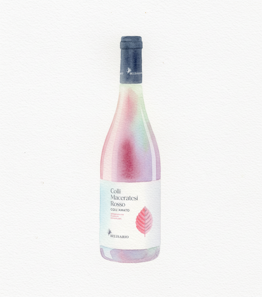 Berisario Coll'Amato Colli Maceratesi Rosso 2022